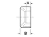 Canplas PVC DWV Flush Fitting Reducer Bushing Spigot X H (4 X 2)