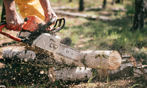 Man using chainsaw