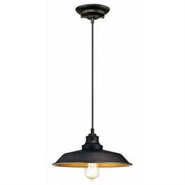 Pendant Light Fixture, Oil-Rubbed Bronze, 60-Watt