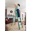 WernerCo Type II Fiberglass Step Ladder 5908 (8ft)